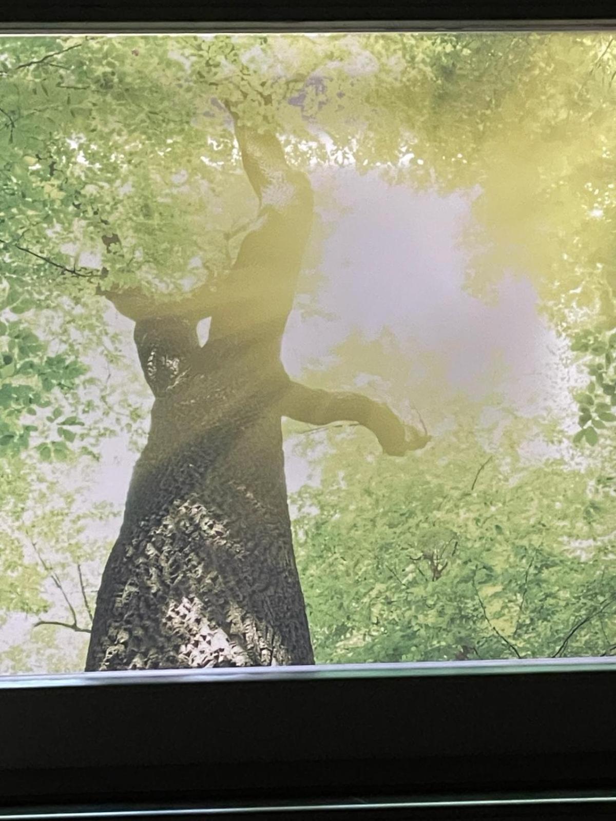 Apartmán Zumglueckfrei Pasov Exteriér fotografie